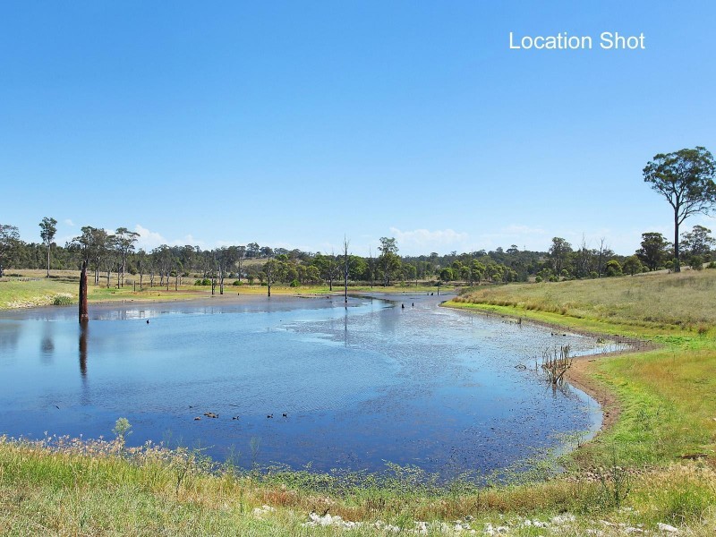 1 Saxon Place, Cecil Hills NSW 2171