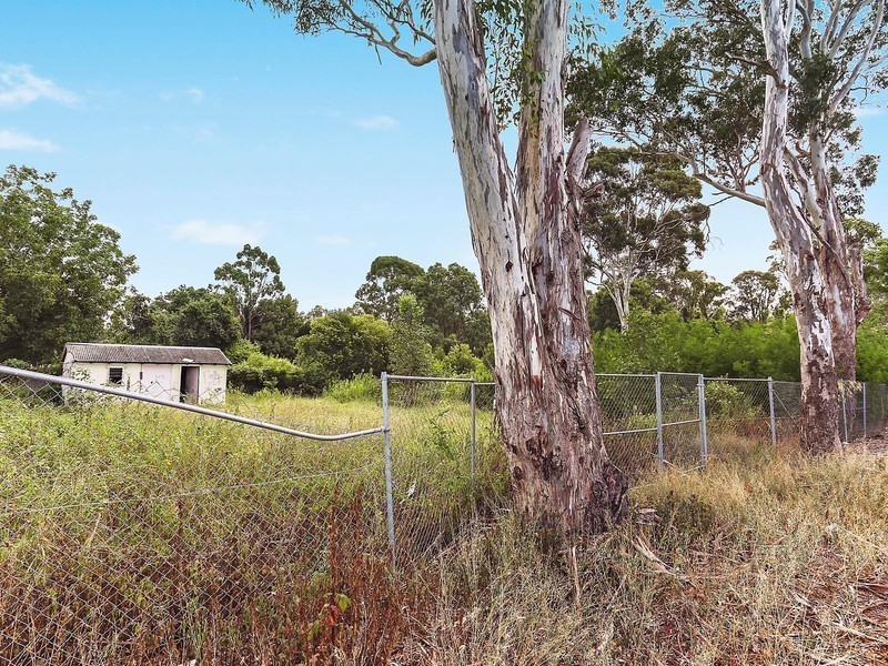 48 Lindsay Street, Wentworthville NSW 2145