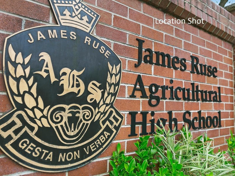 39 Yarralumla Drive, Carlingford NSW 2118