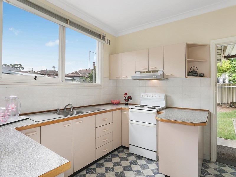 15 Andrews Avenue, Toongabbie NSW 2146