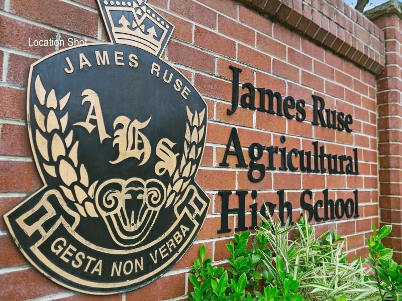 16 Gowan Brae Avenue, Oatlands NSW 2117