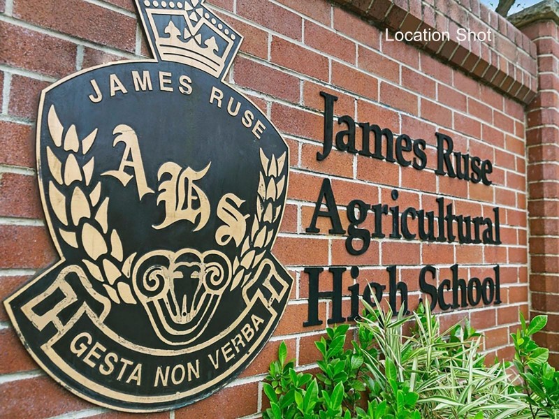 4 Gollan Avenue, Oatlands NSW 2117