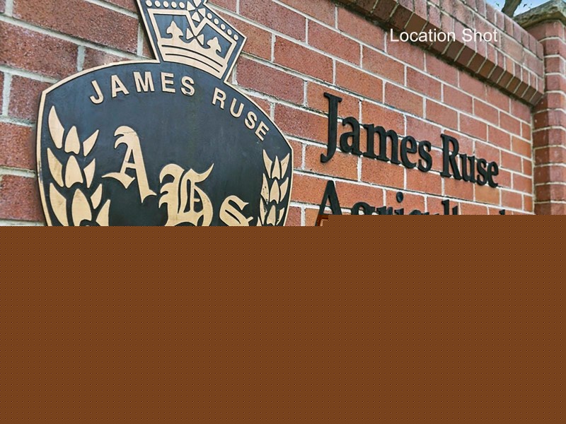 44 Greens Avenue, Oatlands NSW 2117