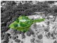 4 Coolibah Court, Mooloolah Valley QLD 4553