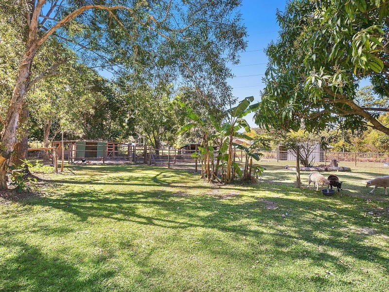 32 Whites Road, Landsborough QLD 4550