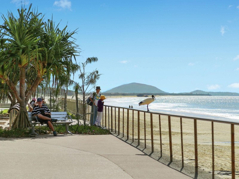 13 Round Bush Crescent, Maroochydore QLD 4558