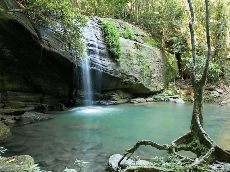 12 Hardwood Court, Buderim QLD 4556