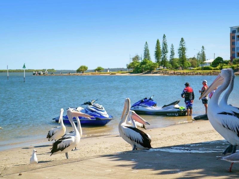 4 Sylvie Street, Pelican Waters QLD 4551