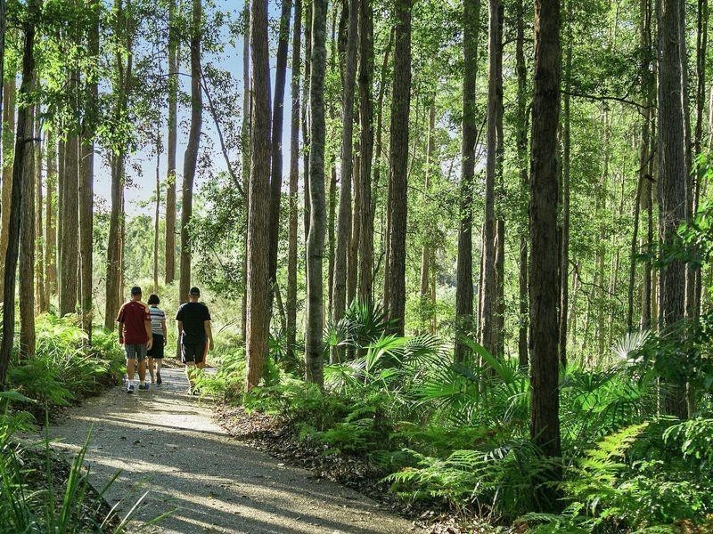 33/25 Owen Creek Road, Forest Glen QLD 4556