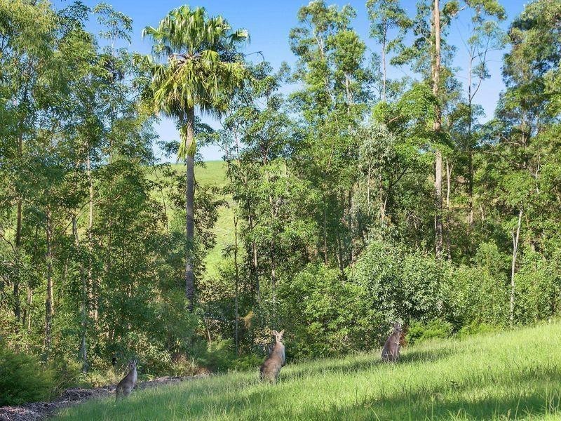 33/25 Owen Creek Road, Forest Glen QLD 4556