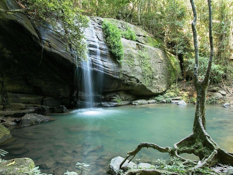 135 Dales Road, Chevallum QLD 4555