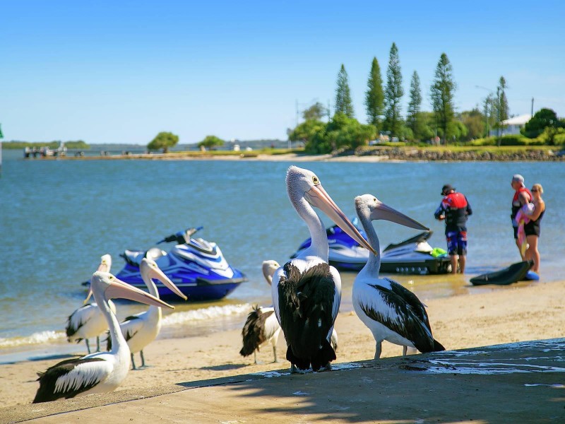 27 Bellanboe Circuit, Pelican Waters QLD 4551