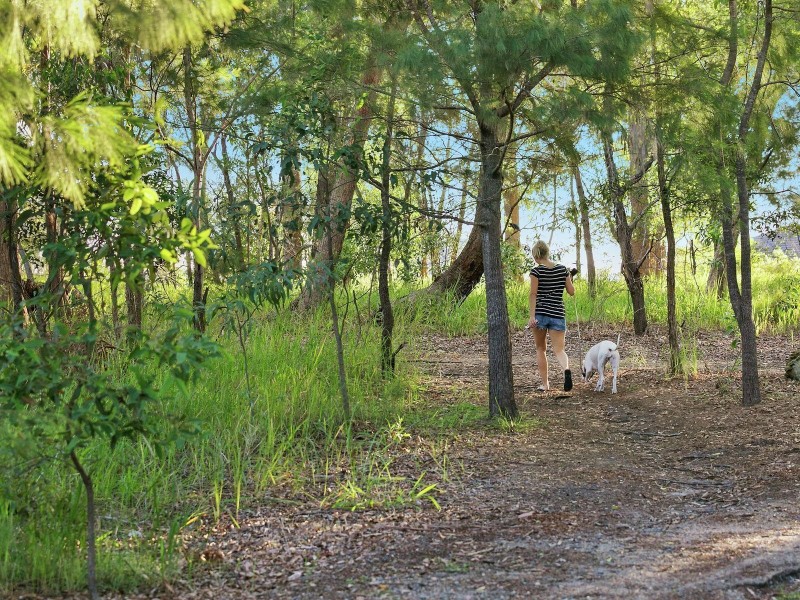 80 Sugar Bag Road, Little Mountain QLD 4551