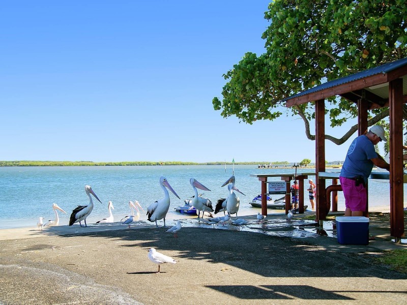 26 Ramsay Crescent, Pelican Waters QLD 4551