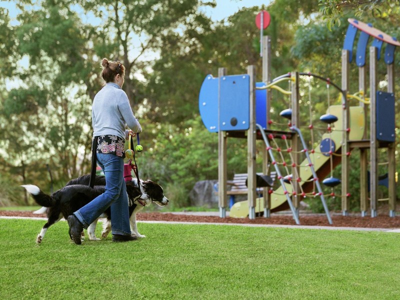 15 Bottlebrush Place, Little Mountain QLD 4551