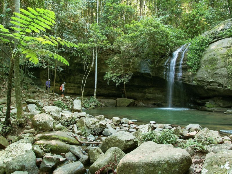 12 Timberdale Court, Mons QLD 4556