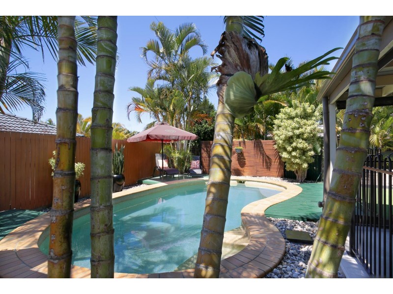 11 Highclare Court, Little Mountain QLD 4551