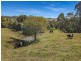 119 Bridge Creek Road, Maleny QLD 4552