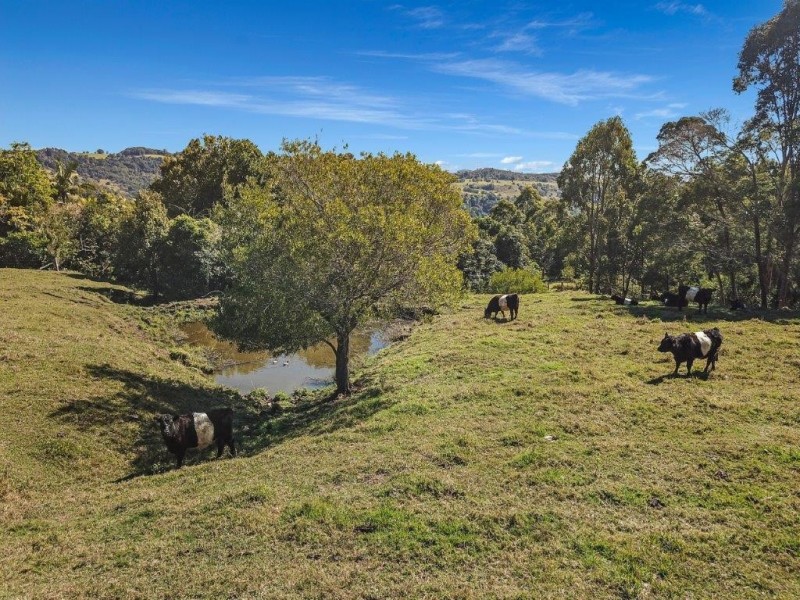 119 Bridge Creek Road, Maleny QLD 4552
