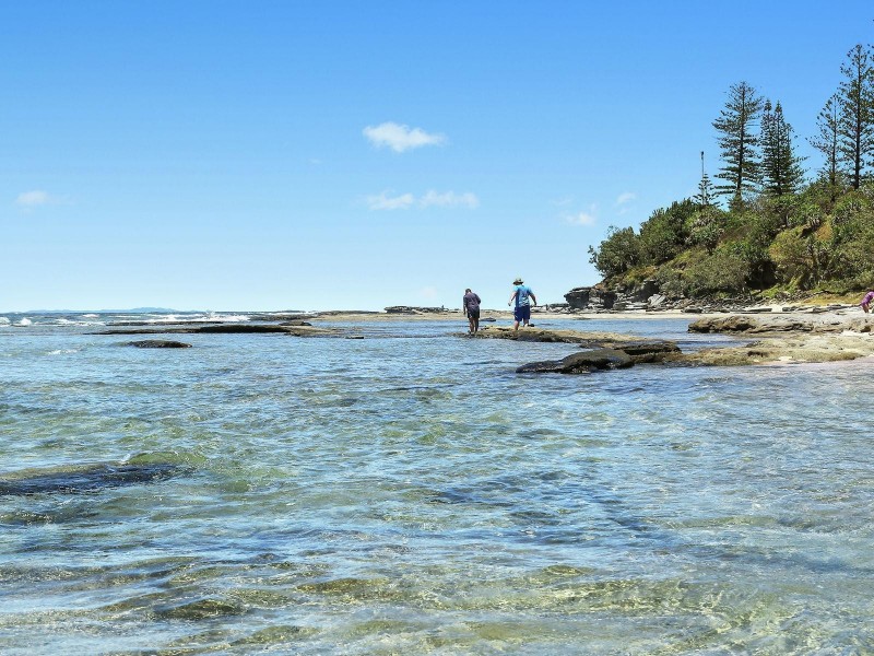 11 Banksia Street, Shelly Beach QLD 4551