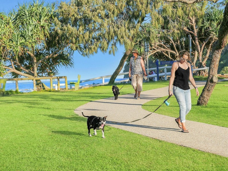 11 Banksia Street, Shelly Beach QLD 4551