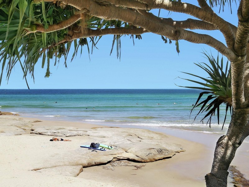 Level 8, 19/82 Albert Street, Kings Beach QLD 4551