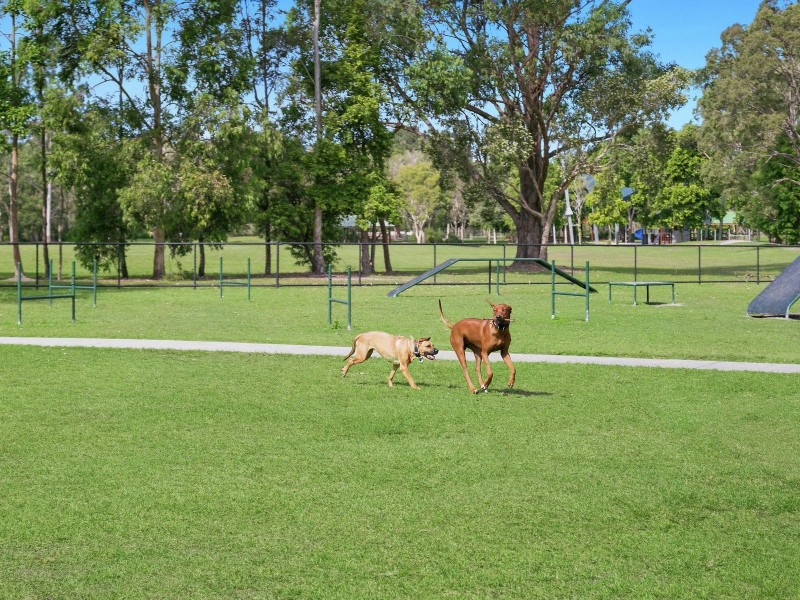 48 Ascot Way, Little Mountain QLD 4551