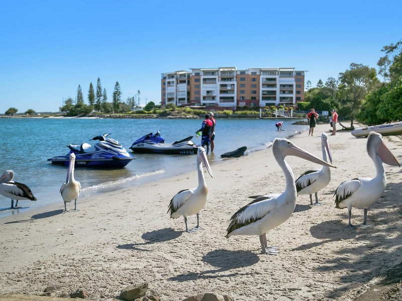 11/1 Raleigh Street, Golden Beach QLD 4551