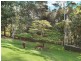 113 McKees Road, Palmwoods QLD 4555