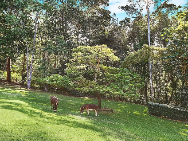 113 McKees Road, Palmwoods QLD 4555