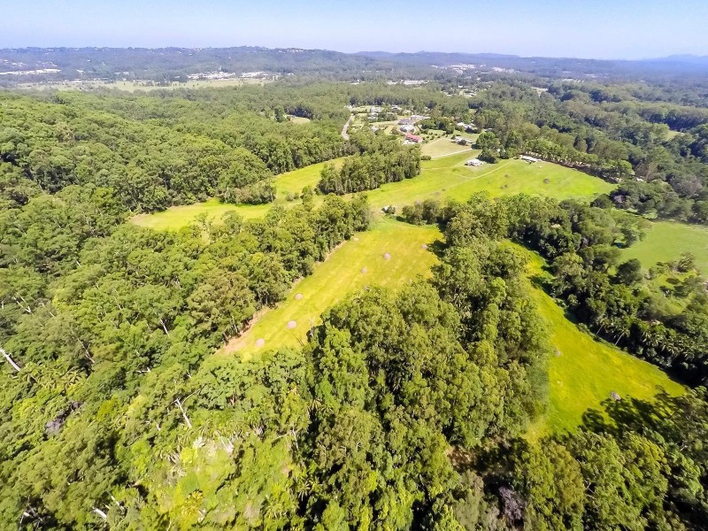 137 Glenfinnan Court, Forest Glen QLD 4556