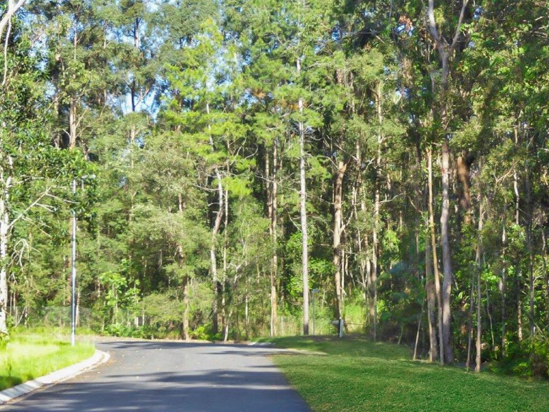 8 Banksia Place, Palmwoods QLD 4555