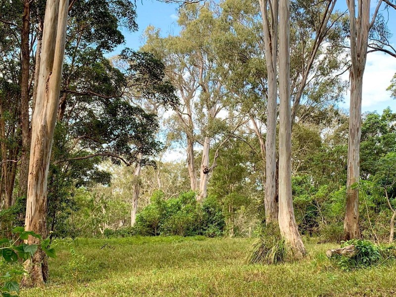 37 Price Lane, Buderim QLD 4556