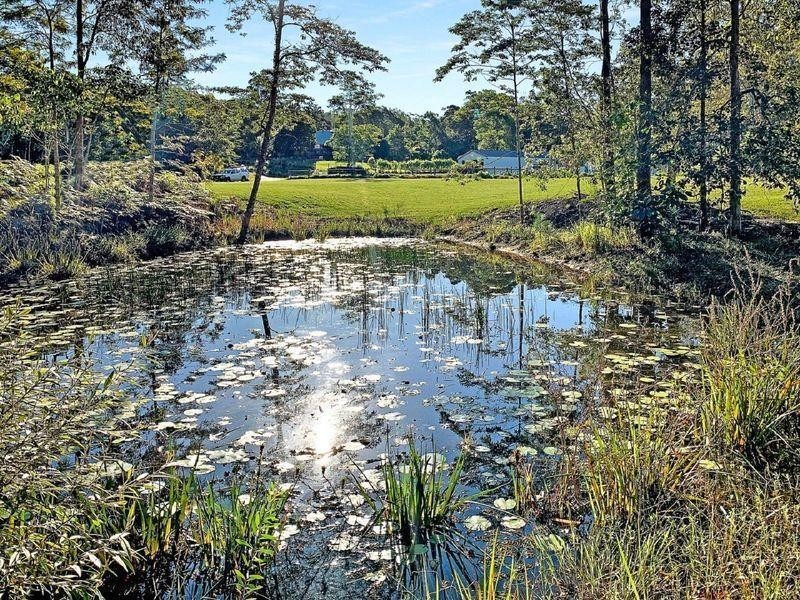 12 Songbird Place, Mooloolah Valley QLD 4553