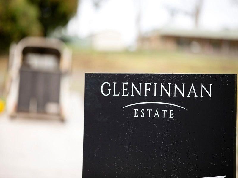 137 Glenfinnan Court, Forest Glen QLD 4556