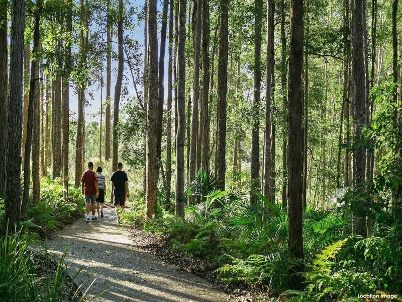 8 Meads Road, Buderim QLD 4556