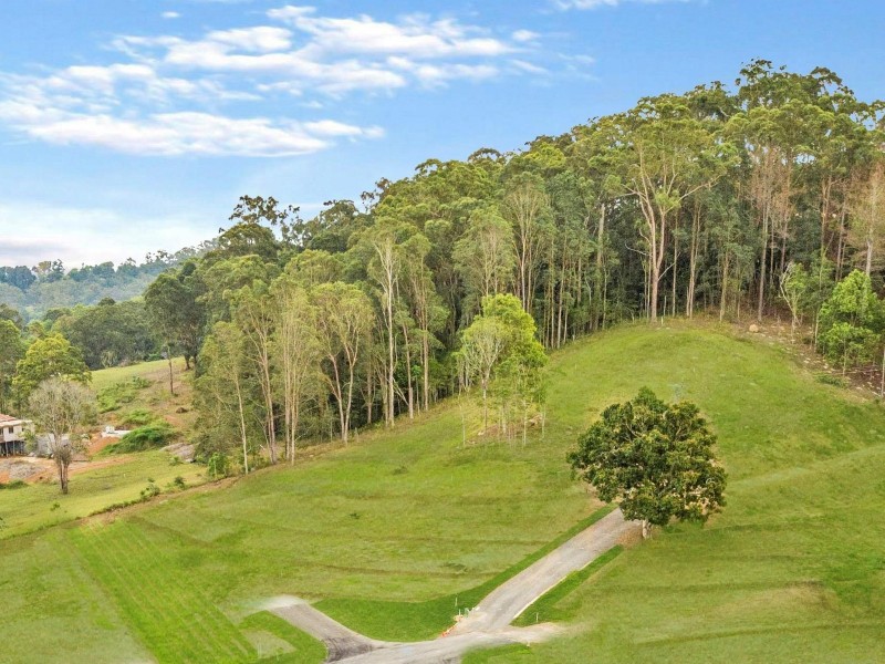 175 Paynters Creek Road, Rosemount QLD 4560