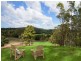 175 Paynters Creek Road, Rosemount QLD 4560