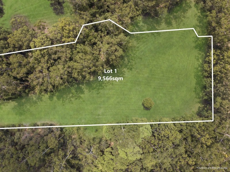 Dunkeld Court, Forest Glen QLD 4556