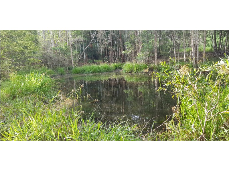 Dunkeld Court, Forest Glen QLD 4556