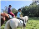 105 Kentish Road, Forest Glen QLD 4556