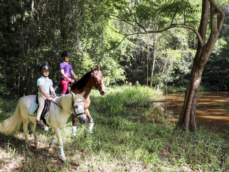 105 Kentish Road, Forest Glen QLD 4556