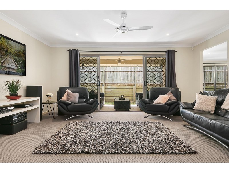 19 Speckled Circuit, Springfield Lakes QLD 4300