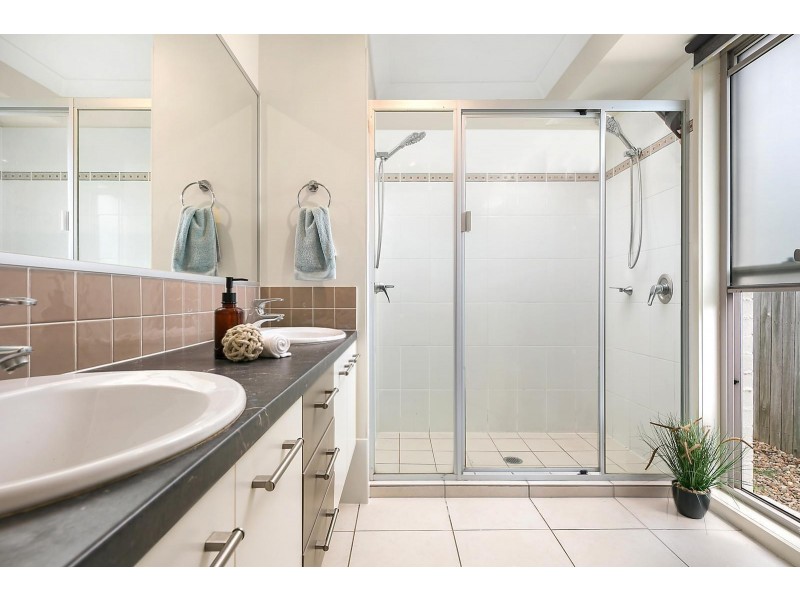 19 Speckled Circuit, Springfield Lakes QLD 4300