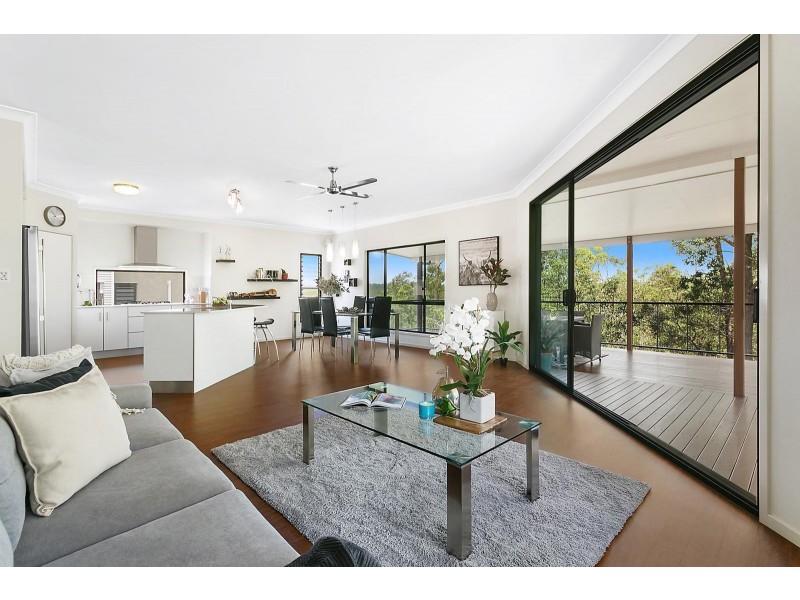 1 Congo Circuit, Springfield QLD 4300