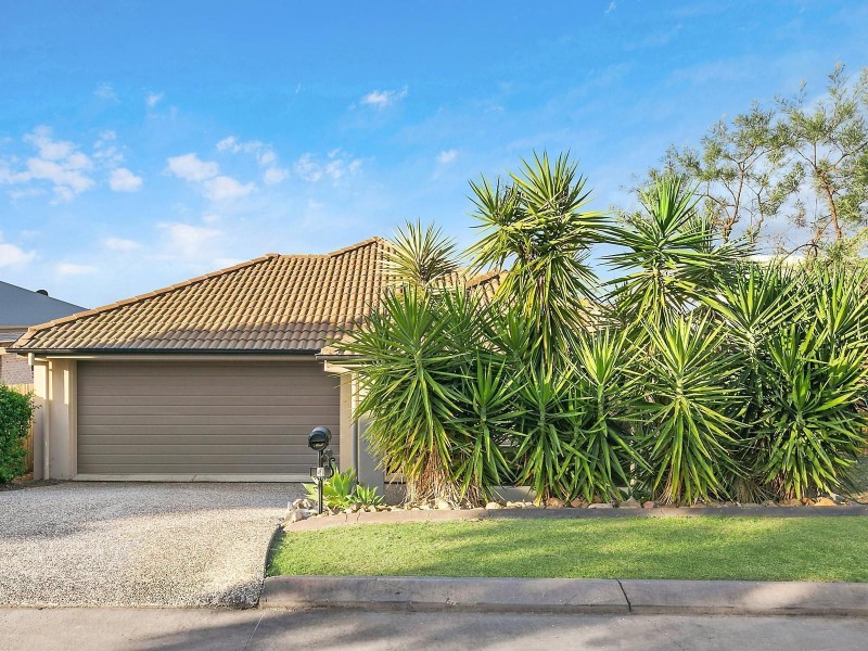 4 Treeview Lane, Springfield Lakes QLD 4300