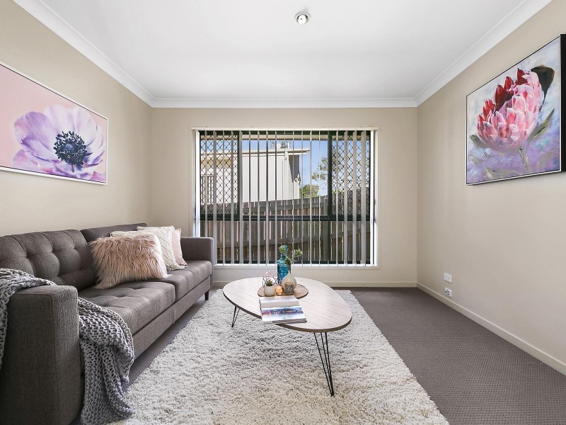 4 Treeview Lane, Springfield Lakes QLD 4300