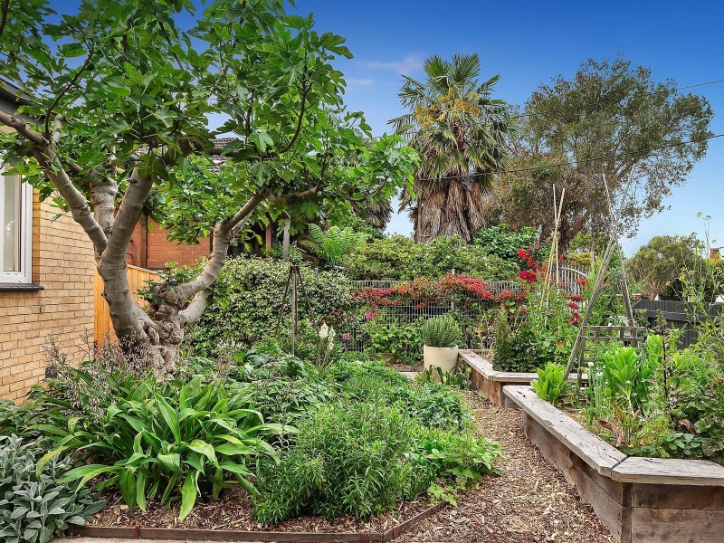 155A Clarendon Street, Thornbury VIC 3071