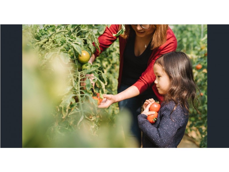 Clydesdale Estate, Marsden Park NSW 2765