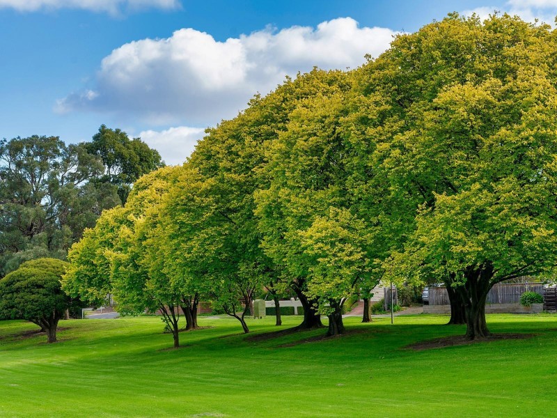 56A Elmhurst Road, Blackburn VIC 3130